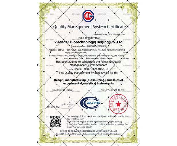 质量管理体系证书 英文版 质量管理体系证书 英文版